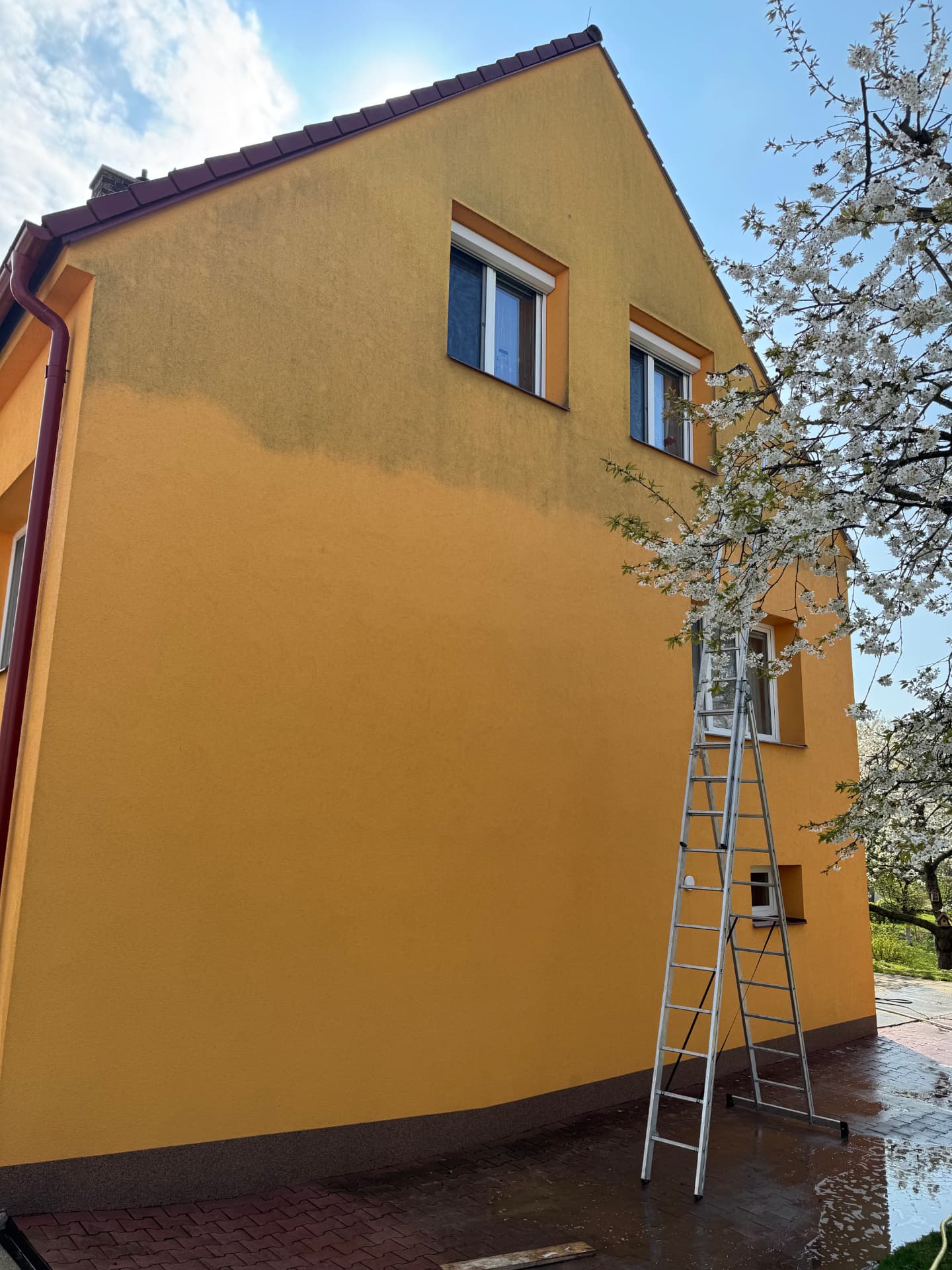 Odstranění řas ze žluté fasády