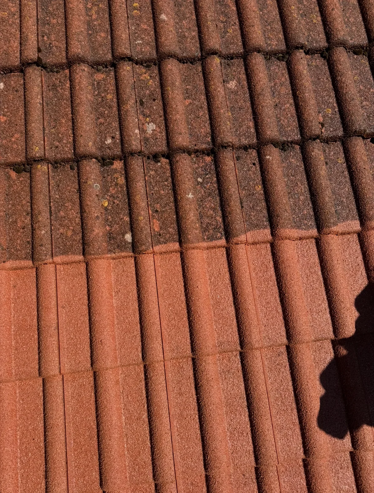 Detail rozdílu střešní krytiny před a po čištění