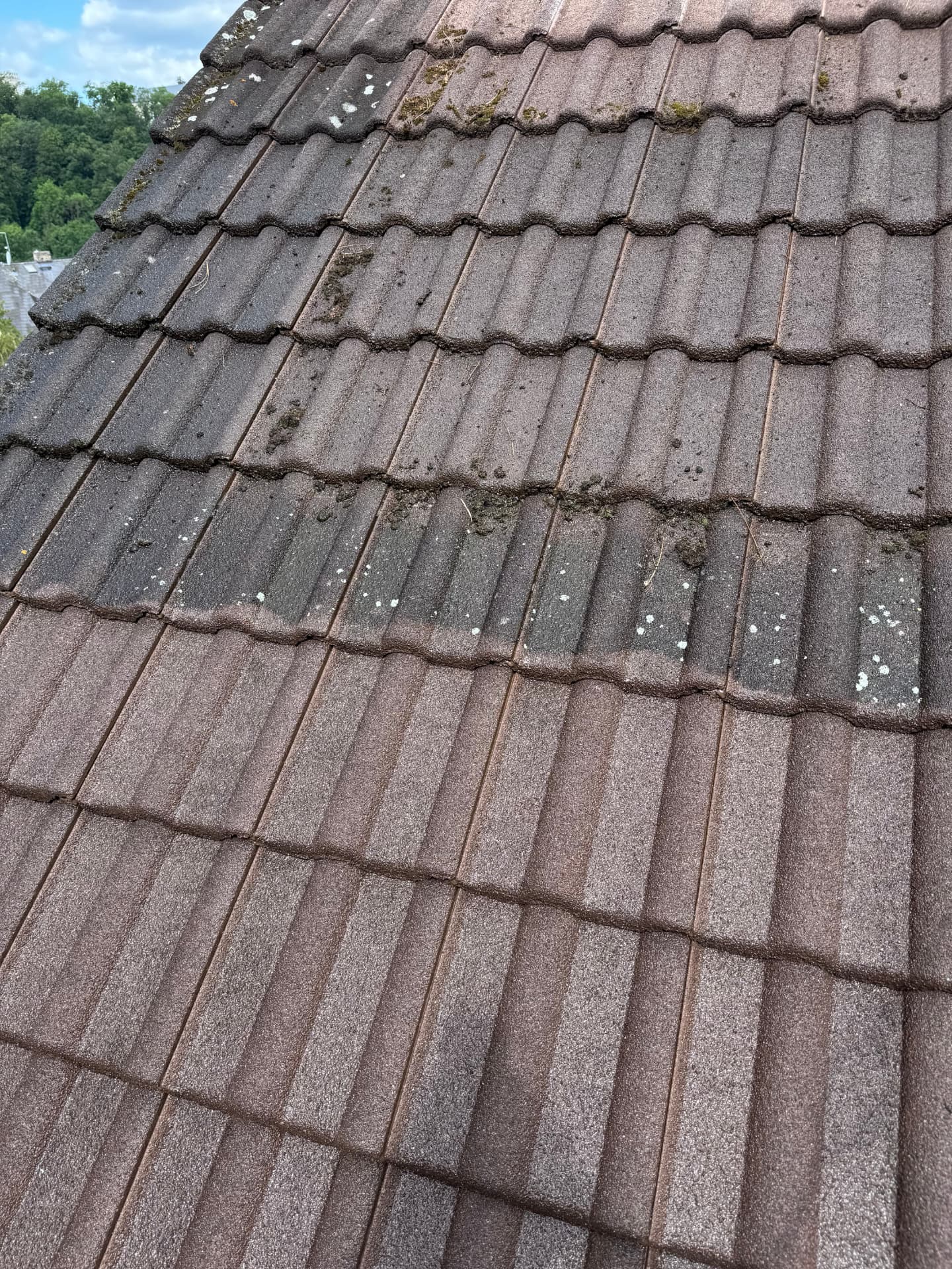 Hloubkové čištění znečištěné střechy