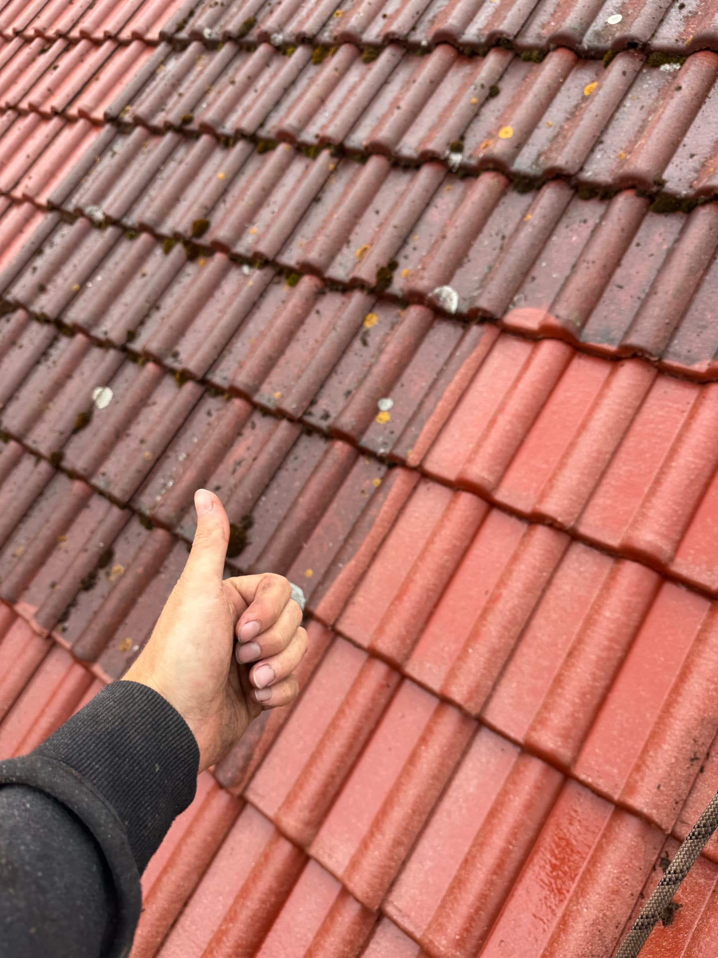 Detail střešní tašky před a po čištění