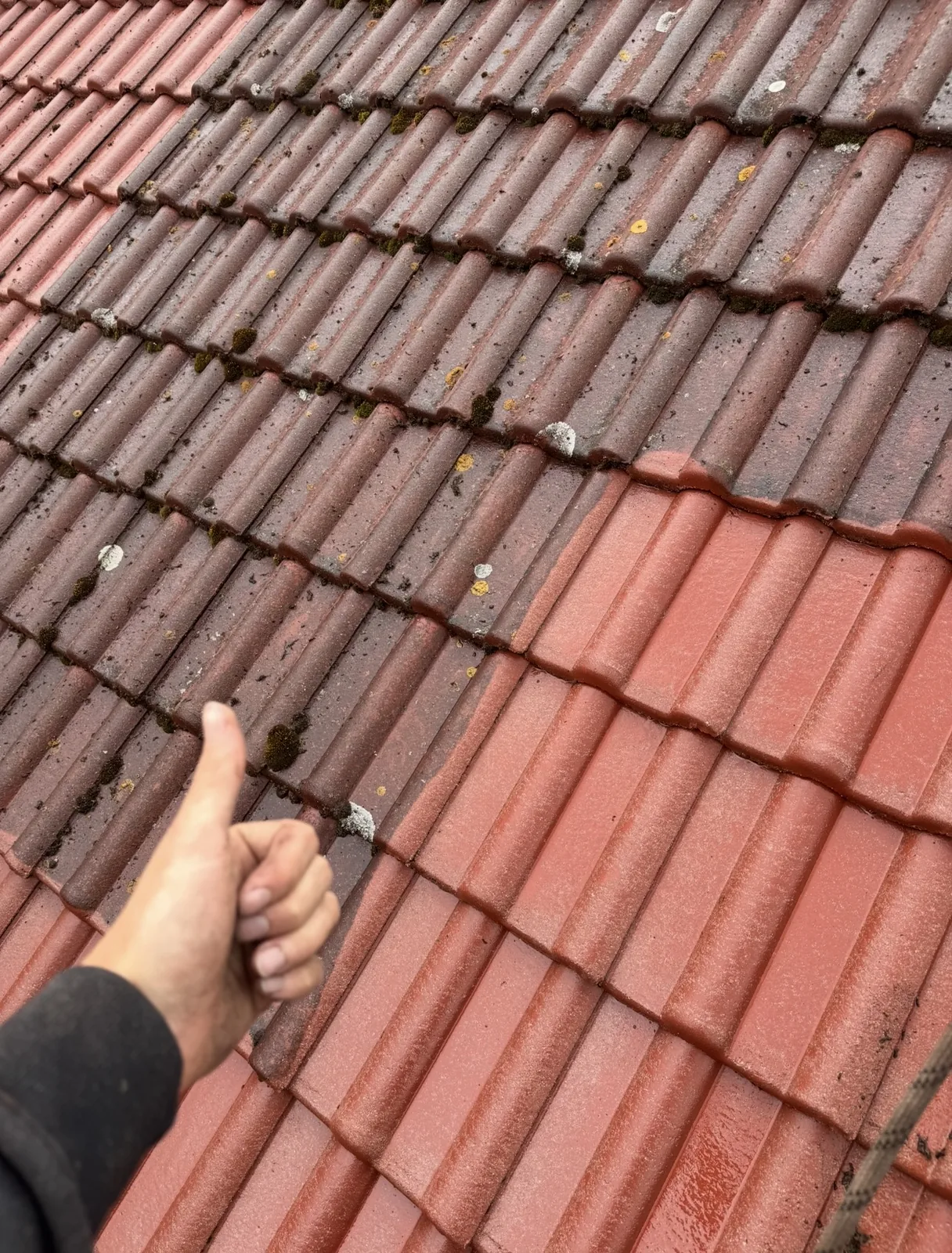 Vyčištěná část taškové střechy bez mechu a lišejníků