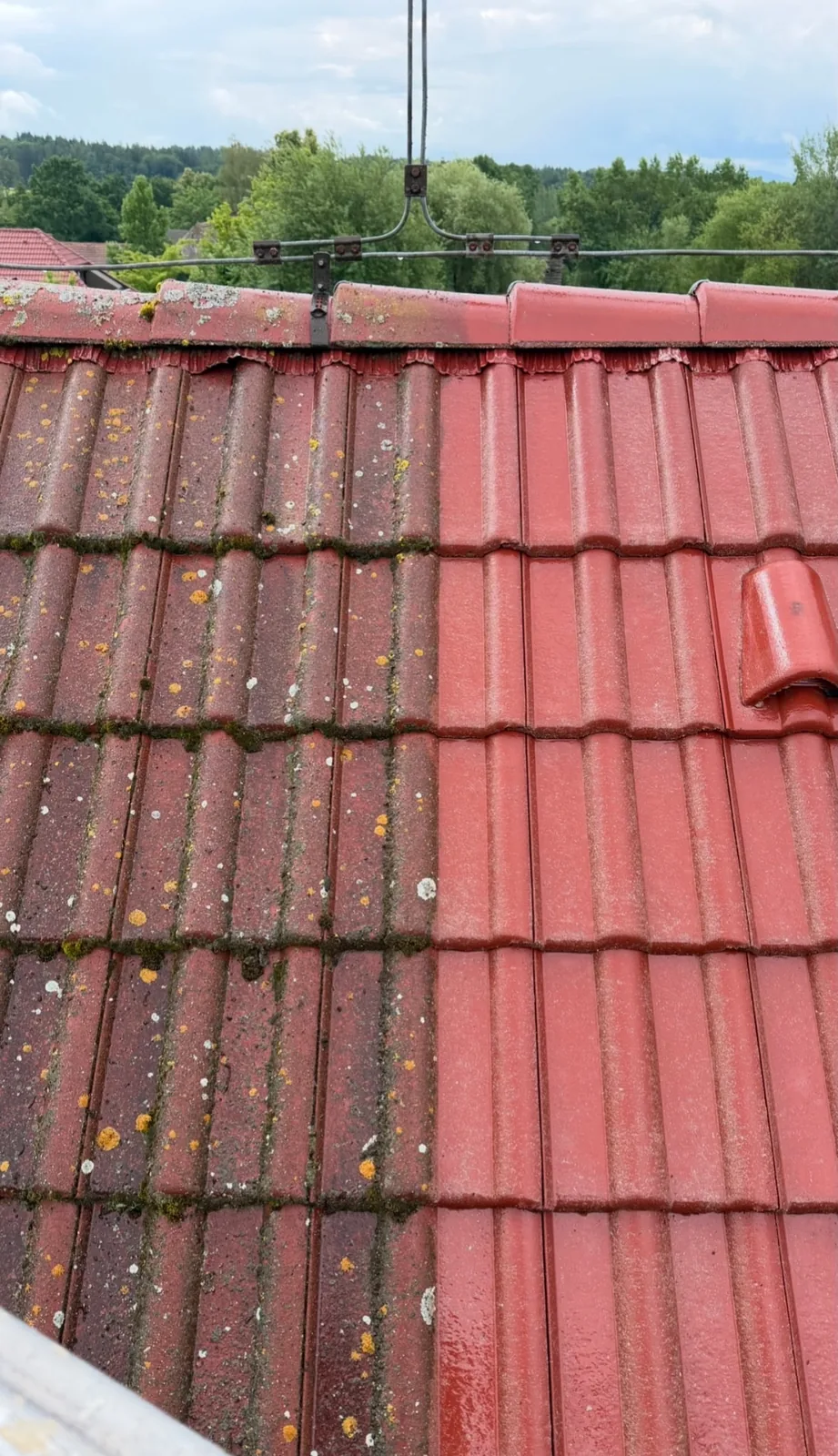 Střešní krytina před a po odstranění mechu a lišejníků
